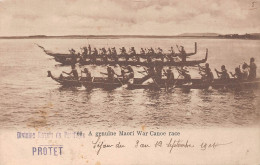Océanie - NOUVELLE-ZELANDE - A Genuine Maori War Canoe Race - Cachet Division Naval Du Pacifique, Protet - Ecrit 1904 - New Zealand