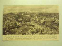 55487 - LA BATAILLE DE WATERLOO - LA BRIGADE DE CAVALERIE NEERLANDAISE DE CHIGNY - ZIE 2 FOTO'S - Waterloo