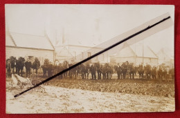 Carte Photo - Songeons à Confirmer (Concours Agricole Juin 1907) Chevaux - Songeons