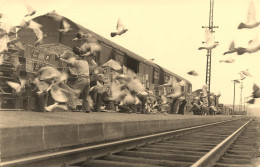 Auxonne * RARE 3 Photos Photographe Remy * Laché De Pigeons à La Gare * Colombophilie Colombophile - Auxonne