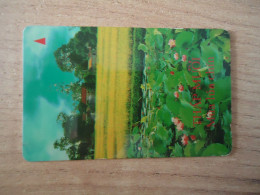 VIETNAM  USED CARDS  FLOWERS  PLANTS - Viêt-Nam