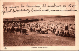 Algérie - DJELFA - Le Marché - Chameaux , Caravanes, ânes, Moutons - Djelfa