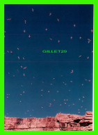 Delcampe - PERCÉ, QUÉBEC - ÎLE BONAVENTURE - UN CIEL DE FOUS DE BASSAN -  PROD. ROLLAND MASSÉ - - Percé