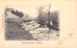 BELGIQUE - Environ De Huy - Le Hoyois - Carte Postale Ancienne - Autres & Non Classés