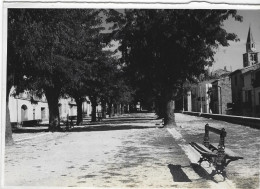 MONTAGNAC  L'ESPLANADE  ANNEE 1958 - Montagnac