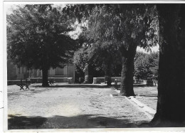 MONTAGNAC  L'ESPLANADE  ANNEE 1958 - Montagnac