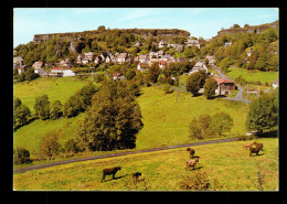 15 Cantal Carlat Le Village Et Le Rocher - Carlat