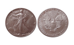 USA 1 $ SILVER EAGLE 1986 - 1 ONCIA IN ARGENTO - Autres & Non Classés