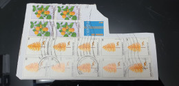 1979 Alberi Albero LARIX Frutta Quartina Usata Blocco Rsm SAN MARINO USATO USED Usati - Used Stamps