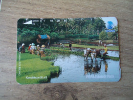 INDONESIA  USED CARDS  ANIMALS COW IN RIVER - Indonesia