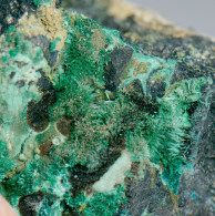 Mineral - Brochantite (Isola D'Elba, Livorno., Italia) - Lot. 1026 - Minéraux