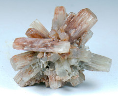 Mineral - Aragonite (Molina De Aragon, Spagna) - Lot. 1027 - Minéraux