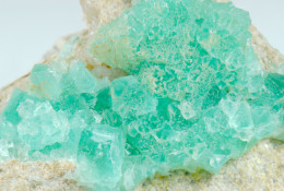 Mineral - Fluorite Verde (Minas Berta El Papiol, Barcellona, Spagna) - Lot. 1051 - Minéraux