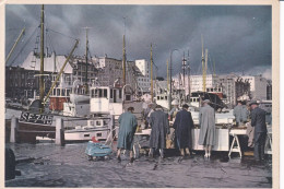 BERGEN - Parti Fra Fisktorget. The Fish Market - Noruega