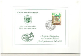 1993 Liechtenstein - Christmas Card - First Day Postmark - - BX2060 - Lettres & Documents