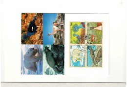 1997 United Nations Geneva - Endagered Animals - Maxi Card, Maximum, Maxima - BX2071 - Covers & Documents