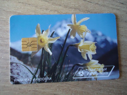 ANDORRA USED CARDS PLANTS FLOWERS - Flores