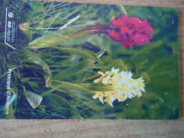 ANDORRA USED CARDS FLOWERS - Blumen