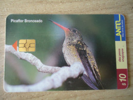 URUGUAY  USED CARDS  BIRD BIRDS - Other & Unclassified