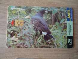 URUGUAY  USED CARDS  BIRD BIRDS - Other & Unclassified