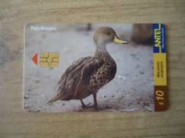 URUGUAY  USED CARDS  BIRD BIRDS DUCKS - Other & Unclassified