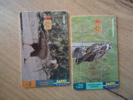 URUGUAY 2  USED CARDS  BIRD BIRDS - Sonstige & Ohne Zuordnung