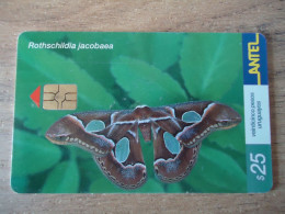 URUGUAY  USED CARDS  BUTTERFLIES  25 - Vlinders