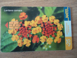 URUGUAY  USED CARDS  PLANTS FLOWERS  25 - Uruguay