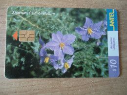 URUGUAY  USED CARDS  PLANTS FLOWERS - Fleurs