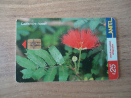 URUGUAY  USED CARDS  PLANTS FLOWERS  25 - Fleurs