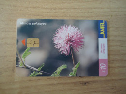 URUGUAY  USED CARDS  PLANTS FLOWERS - Fleurs