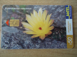 URUGUAY  USED CARDS  PLANTS FLOWERS $  50 - Flores