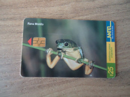 URUGUAY  USED CARDS  FROG FROGS - Turtles