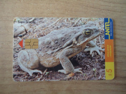 URUGUAY  USED CARDS  FROG FROGS - Schildpadden