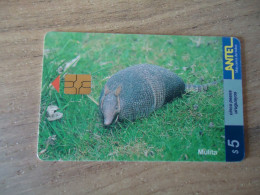 URUGUAY   USED CARDS  ANIMALS - Uruguay