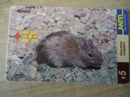 URUGUAY   USED CARDS  ANIMALS RABBITS - Uruguay