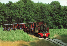 Le Parc De St Eutrope * évry , Bondoufle , Fleury Mérogis , Ris Orangis * Passage Du Petit Train * Ligne Chemin De Fer - Evry