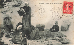 Corté * 1907 * Le Lavage Du Blé * Villageois * Haute Corse 2B - Corte