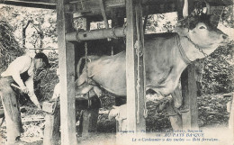 Au Pays Basque N°10 * Le Cordonnier Des Vacahes , Bebi Ferratçea * Maréchal Ferrant * Ferrage * Métier Ancien - Andere & Zonder Classificatie