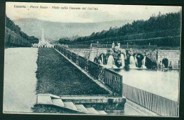 VT044 - CASERTA - PARCO REALE - VIALE SULLA CASCATA DEI DELFINI 1926 - Caserta