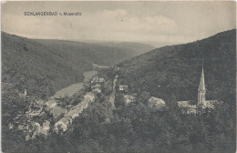 D113,RAR,AK,Schlangenbad Von Musensitz,Panorama,Hessen,unbeschrieben, Um 1930 - Schlangenbad