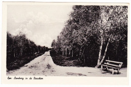 Epe - Landweg In De Bosschen - Epe