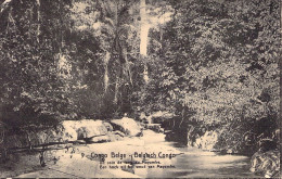 CONGO BELGE - Un Coin De Forêt Du Mayumbe - Carte Postale Ancienne - Belgian Congo