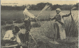 REPRODUCTION LES MOISSONNEURS TRAVAUX DES CHAMPS - Cultures