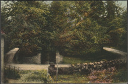 The Devil's Elbow, Near Nailsworth, Gloucestershire, C.1910 - Tomkins & Barrett Postcard - Other & Unclassified