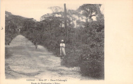 CONGO BELGE - Dans L'Oubanghi - Route De Pénétration à Bétou - Carte Postale Ancienne - Congo Belge