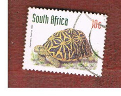 SUD AFRICA (SOUTH AFRICA) - SG 1013 - 1997 ENDANGERED ANIMALS: GEOMETRIC TORTOISE (DATED 1998)  - USED - Gebruikt