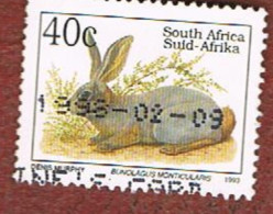 SUD AFRICA (SOUTH AFRICA) - SG 809c - 1993 ENDANGERED ANIMALS: RABBIT    - USED - Oblitérés