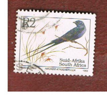 SUD AFRICA (SOUTH AFRICA) - SG 818 - 1993   ENDANGERED ANIMALS: BLUE SWALLOW (NAME IN LATIN LANGUAGE)  - USED - Usados