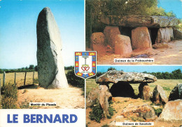 Le Bernard * Souvenir Du Village * Menhir Et Dolmen * Pierre Monolithe - Autres & Non Classés